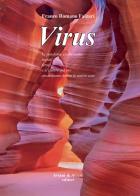 Virus di Franco Romano Falzari edito da Aviani & Aviani editori