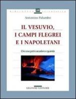 Il Vesuvio, i Campi Flegrei e i napoletani. Che cosa potrà accadere e quando di Antonino Palumbo edito da Liguori