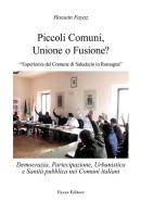 Piccoli comuni, unione o fusione? Esperienza del Comune di Saludecio in Romagna di Hossein Fayaz Torshizi edito da Fayaz