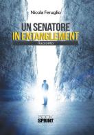 Un senatore in entanglement di Nicola Feruglio edito da Booksprint