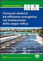 Consumi elettrici ed efficienza energetica del trattamento delle acque reflue di Massimiliano Campanelli, Paola Foladori, Mentore Vaccari edito da Maggioli Editore