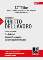 Compendio di diritto del lavoro di Paolo Iervolino, Grazia Maggi, Giovanni Fiaccavento edito da Dike Giuridica