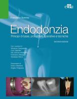 Endodonzia. Principi di base, procedure operative e tecniche di Francesco Somma edito da Edra