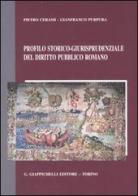 Profilo storico-giurisprudenziale del diritto pubblico romano di Pietro Cerami, Gianfranco Purpura edito da Giappichelli
