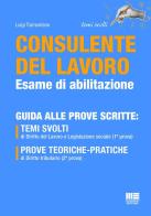 Consulente del lavoro. Esame di abilitazione 2026. Guida alle prove scritte di Luigi Tramontano edito da Maggioli Editore