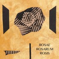 Anna Pennati. Rosae, Rosarum, Rosis di Luca Temolo Dall'Igna, Anna Lorena Pennati edito da Almach Art