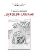 I roccoli delle Bregonze. Volti, figure, attività di un mondo rurale scomparso di Liverio Carollo, Antonio Faccin edito da Grafiche Simonato