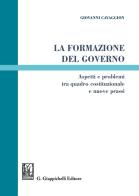 La formazione del governo. Aspetti e problemi tra quadro costituzionale e nuove prassi di Giovanni Cavaggion edito da Giappichelli