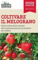 Coltivare il melograno. Dalla scelta delle varietà alla realizzazione di un frutteto da reddito di Ferdinando Cossio, Domenico Annicchiarico, Chiara Vacca edito da L'Informatore Agrario