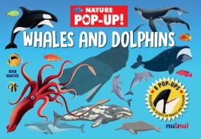 Whales and dolphins. Nature pop-up. Ediz. a colori di David Hawcock edito da Nuinui