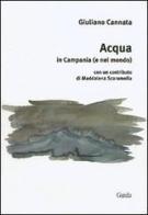 Acqua in Campania (e nel mondo) di Giuliano Cannata edito da Guida