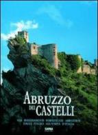 Abruzzo dei castelli. Gli insediamenti fortificati abruzzesi dagli italici all'unità d'Italia edito da CARSA