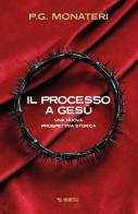Il processo a Gesù. Una nuova prospettiva storica di P. G. Monateri edito da Mimesis