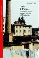 I volti di Proteo. Storia della piccola impresa in Italia nel Novecento di Andrea Colli edito da Bollati Boringhieri