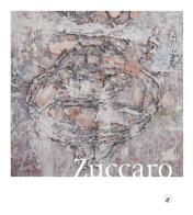 Piero Zuccaro. Flyby. Ediz. multilingue edito da Tecnica Mista