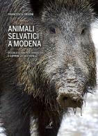 Animali selvatici a Modena. Piccola guida per conoscerli e capirne la gestione di Francesca Orsoni edito da Edizioni Artestampa