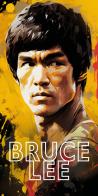 Bruce Lee di Maurizio Vicedomini edito da Marotta e Cafiero