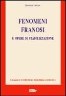 Fenomeni franosi e opere di stabilizzazione di Maurizio Tanzini edito da Flaccovio Dario