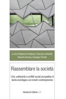 Riassemblare la società. Crisi, solidarietà e conflitti sociali: prospettive di teoria sociologica sul mondo contemporaneo edito da Morlacchi