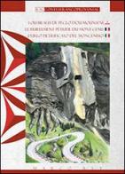 L' urlo pietrificato del Moncenisio di Marco Rey edito da Chambra d'Òc