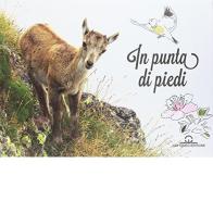 In punta di piedi di Gianfranco Scieghi, Gabriella Bianchi edito da Cattaneo