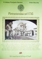 Pietrastornina nel 1745 di Arturo Bascetta edito da ABE