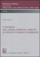 Il contributo della giustizia consensuale e riparativa all'efficienza dei modelli di giurisdizione di Agata Ciavola edito da Giappichelli