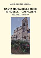 Santa Maria delle Rose in Roselli-Casalvieri. Colle della Madonna di Mario Cesidio Morelli edito da Youcanprint