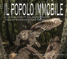 Il popolo immobile. Le ultime foreste del Mediterraneo. Ediz. italiana e inglese di Roberto Isotti, Alberto Cambone edito da De Luca Editori d'Arte