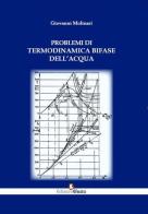 Problemi di termodinamica bifase dell'acqua di Giovanni Molinari edito da Edizioni Efesto