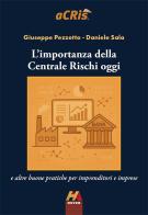 L'importanza della Centrale Rischi oggi e altre buone pratiche per imprenditori e imprese di Giuseppe Pezzetto, Daniele Sala edito da Hever