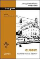 Gubbio. Itinerari di monaci e consoli di Giuseppe M. Nardelli, Pina Pizzichelli edito da Ali&No