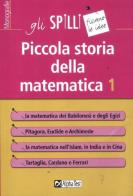 Piccola storia della matematica vol.1 di Paolo Caressa edito da Alpha Test