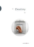Destiny. Ediz. italiana, inglese e francese edito da Postmedia Books