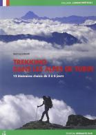 Trekking dans les Alpes de Turin di Gianluca Boetti edito da Versante Sud