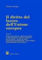Il diritto del lavoro dell'unione europea vol.2 di Gianni Arrigo edito da Giuffrè