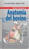 Atlante illustrato di anatomia del bovino di Klaus-Dieter Budras edito da Antonio Delfino Editore