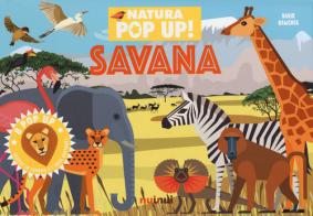 Savana. Natura pop-up! Ediz. a colori di David Hawcock edito da Nuinui