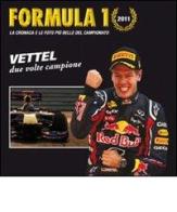 Formula 1 (2011). La cronaca e le foto più belle del campionato. Ediz. illustrata di Giorgio Stirano edito da Roberto Vallardi