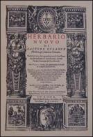 Herbario nuovo (rist. anast. 1585). Ediz. illustrata di Castore Durante edito da Nuova Prhomos