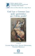 Civil law e common law: quale «grammatica» per il diritto penale? edito da Edizioni Scientifiche Italiane