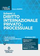 Schemi di diritto internazionale privato e processuale edito da Neldiritto Editore