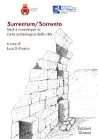 Surrentum/Sorrento. Studi e ricerche per la carta archeologica della città edito da Quasar