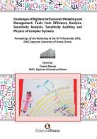 Challenges of big data for economic modeling and management. Tools from efficiency analysis, sensitivity analysis, sensitivity auditing and physics of complex system edito da Edizioni Efesto