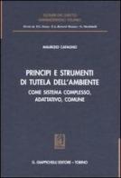 Principi e strumenti di tutela dell'ambiente. Come sistema complesso, adattativo, comune di Maurizio Cafagno edito da Giappichelli