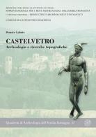 Castelvetro. Archeologia e ricerche topografiche di Donato Labate edito da All'Insegna del Giglio