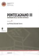 Pontecagnano III. Dizionario della cultura materiale vol.1 di Patrizia Gastaldi, Bruno D'Agostino edito da Pandemos