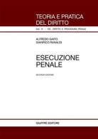 Esecuzione penale di Alfredo Gaito, Gianrico Ranaldi edito da Giuffrè
