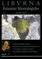Relazioni mineralogiche. Libvrna vol.7 di Marco Bonifazi edito da Youcanprint