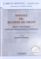 Manuale del recupero dei crediti. Profili sostanziali, strategie stragiudiziali e giudiziali. Con CD-ROM edito da CEDAM